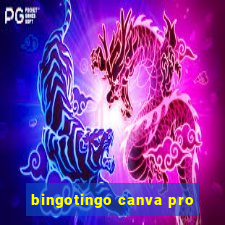 bingotingo canva pro